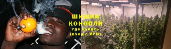 гидра Армянск