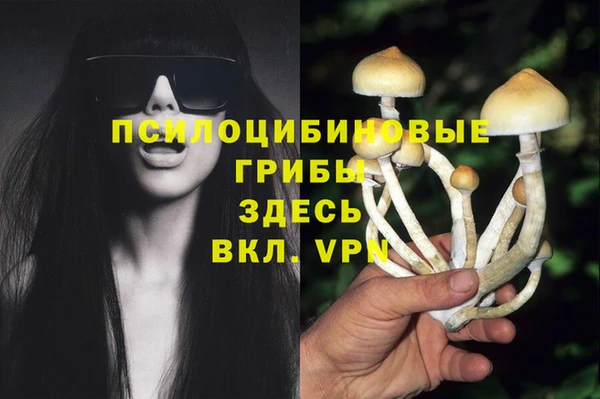 первитин Арсеньев