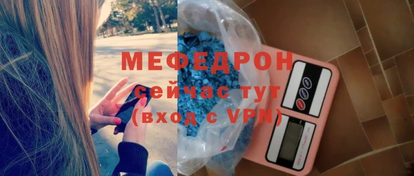 мдпв Рославль