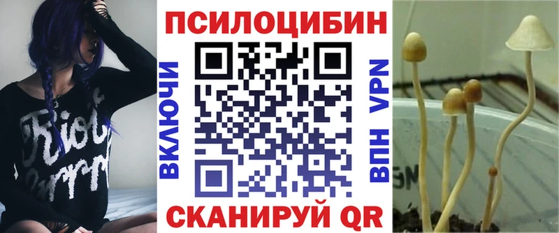 Псилоцибиновые грибы Psilocybe  что такое наркотик  Куйбышев 
