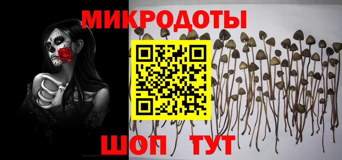 Галлюциногенные грибы мухоморы Куйбышев