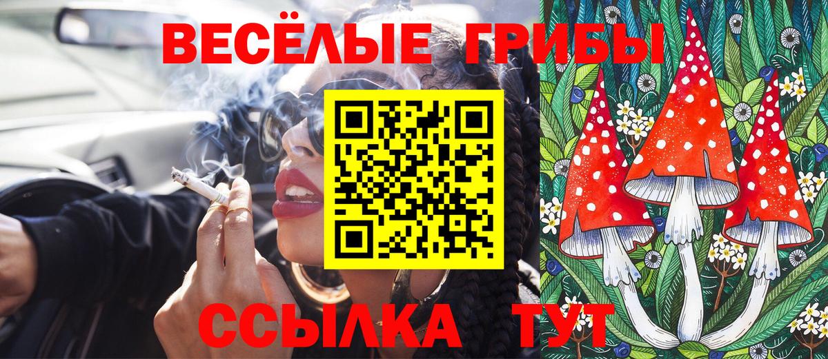 Псилоцибиновые грибы мицелий  Вход с VPN  Галлюциногенные грибы прущие грибы  Куйбышев 